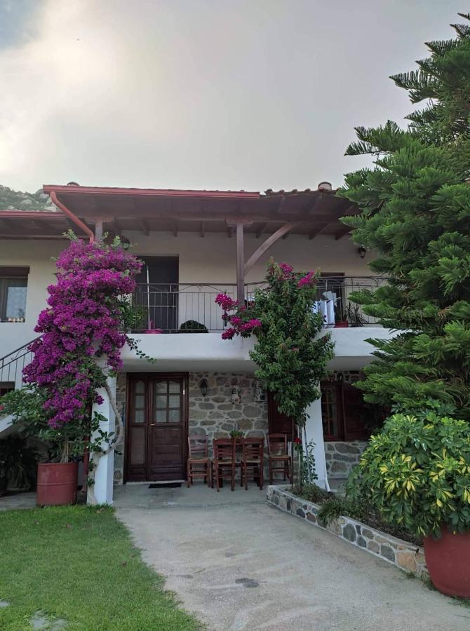 Sweet Home Συκιά Εξωτερικό φωτογραφία