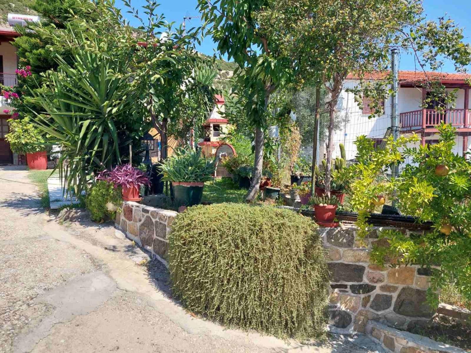 Sweet Home Συκιά Εξωτερικό φωτογραφία